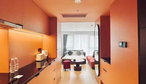 Executive Studio, 1 King Bed with Sofa bed