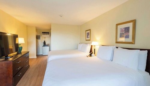 Summer Building Ground Level