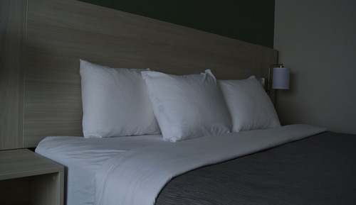Room, 1 King Bed, Non Smoking