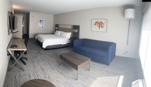 Suite, 1 King Bed with Sofa bed