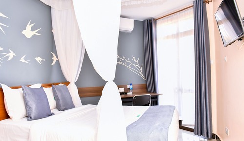 Superior Suite