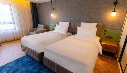 Deluxe Double or Twin Room