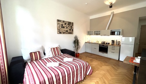 Exclusive Apartment