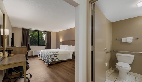 Deluxe Room, 1 King Bed, Accessible, Non Smoking