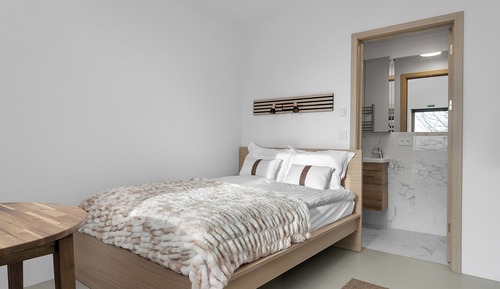 Economy Apartment