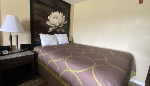 Basic Single Room