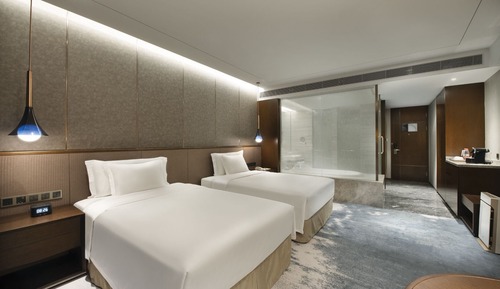 Deluxe Twin Bed Room