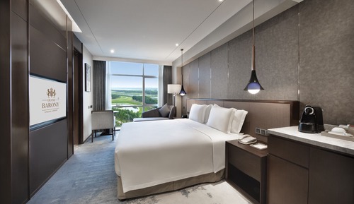 Deluxe King Bed Room