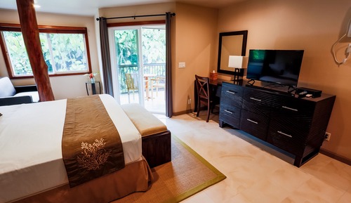Luxury Studio Suite, 1 King Bed, Garden View Plumeria