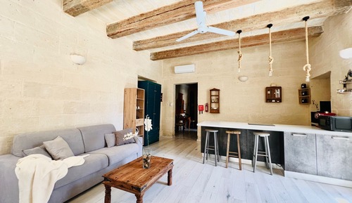 Luxury Apartment