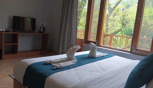 Premium Room