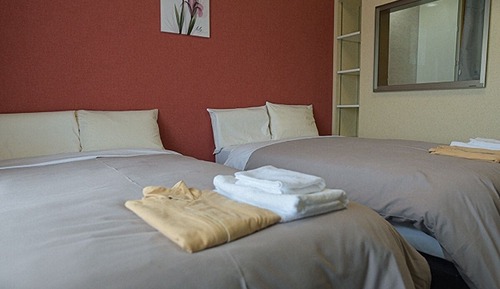 Basic Twin Room