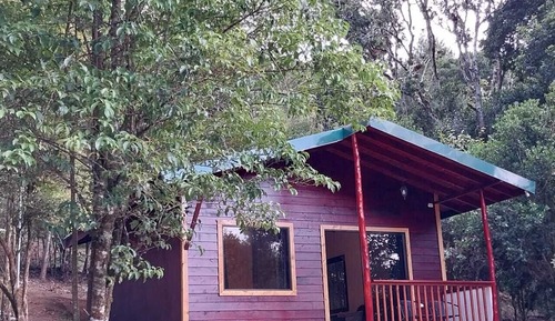 Deluxe Cabin