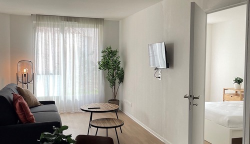 Comfort Apartment