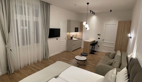 Comfort Apartment, 1 Queen Bed with Sofa bed