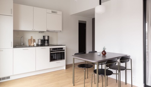 Spacious studio with a rooftop terrace