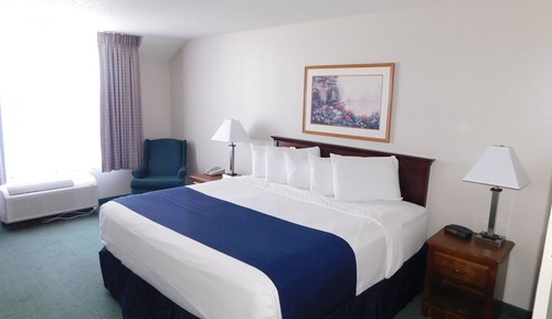 Single King Bed - Non-Smoking