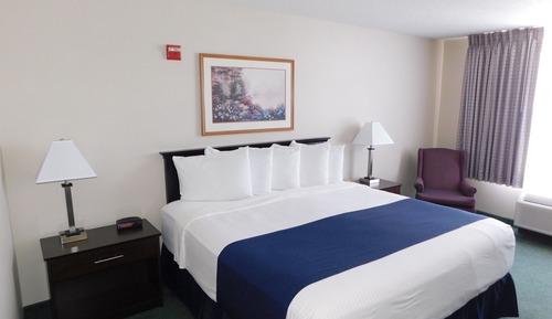 Single King Bed - ADA, Non-Smoking