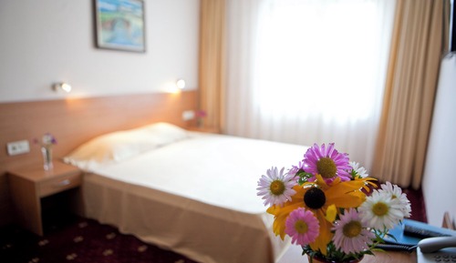 Basic Single Room