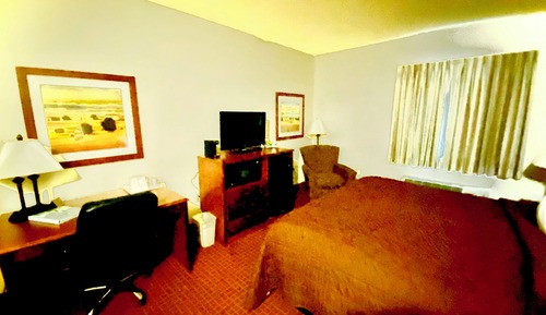 Comfort Single Room