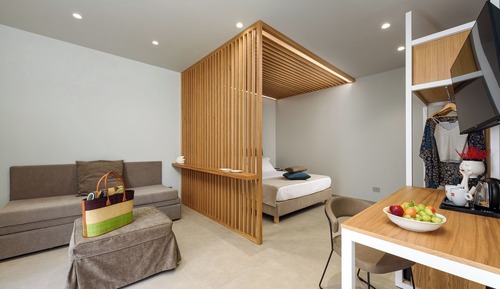 Superior Double or Twin Room