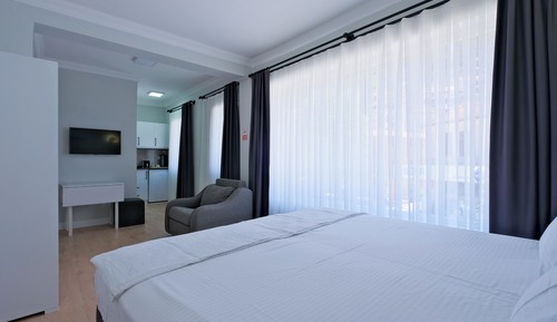 Deluxe Studio Suite, 1 Queen Bed with Sofa bed