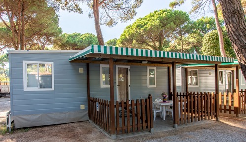 Deluxe Mobile Home