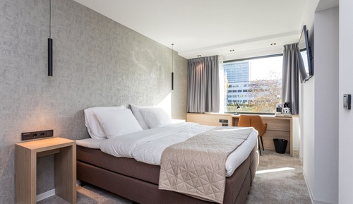 Comfort Suite
