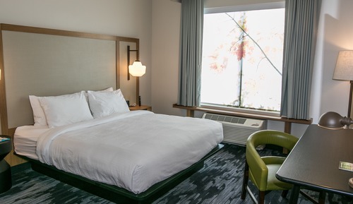 Room, 1 King Bed