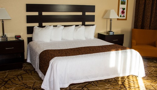 Deluxe Room, 1 King Bed