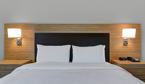 Studio, 1 King Bed with Sofa bed