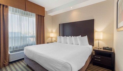 Standard Room, 1 King Bed, Accessible, Non Smoking
