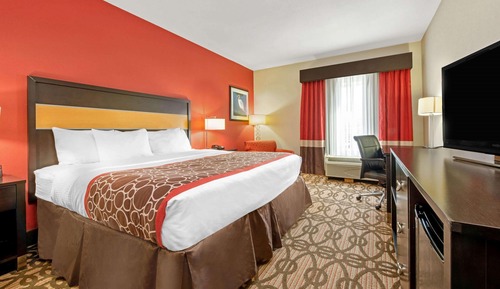 Room, 1 King Bed, Non Smoking