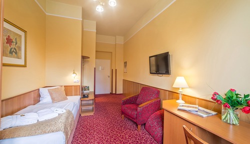 Superior Single Room