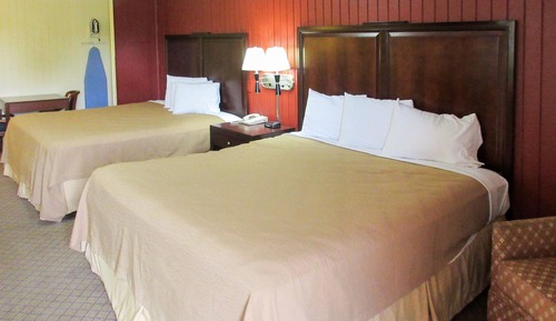 Standard Room, Multiple Beds, Non Smoking