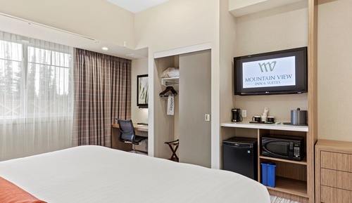 Standard Room, 1 King Bed, Accessible, Bathtub