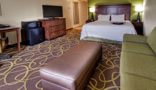 Standard Room, 1 King Bed with Sofa bed