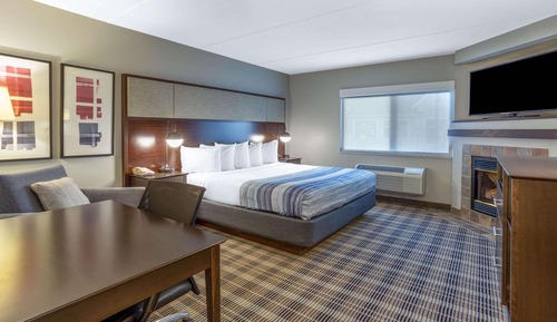 Room, 1 King Bed, Non Smoking