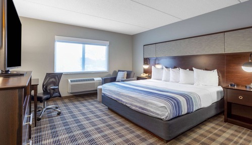 Room, 1 King Bed, Accessible, Non Smoking