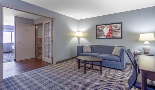 Suite, 1 King Bed, Non Smoking (One-Bedroom Suite)