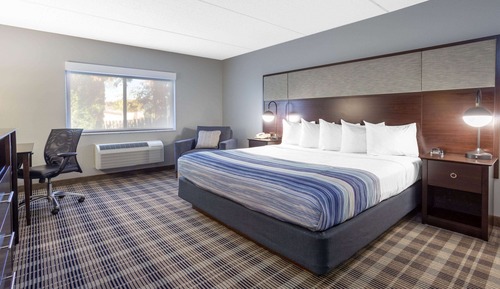 Room, 1 King Bed, Non Smoking