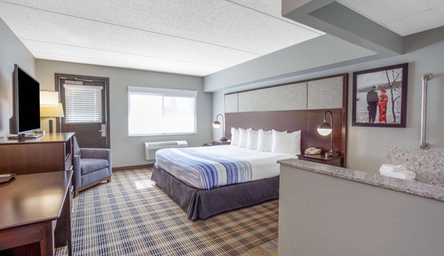 Room, 1 King Bed, Accessible, Non Smoking
