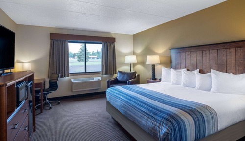Room, 1 King Bed, Non Smoking (First Floor)