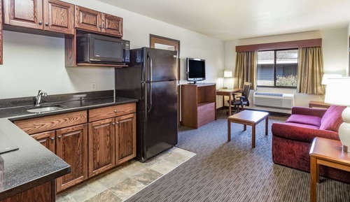 Room, 1 King Bed, Non Smoking (One-Bedroom, Efficiency)