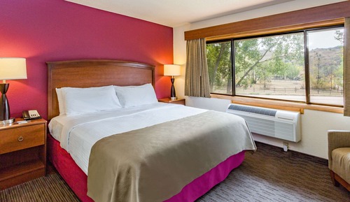 Room, 1 King Bed, Non Smoking (Efficiency)