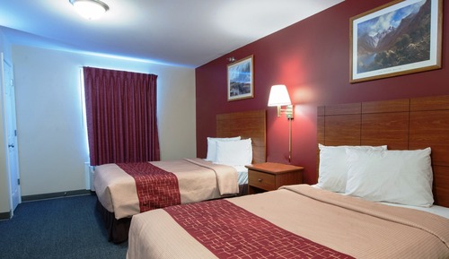 Suite, 2 Double Beds, Accessible, Non Smoking (Kitchen, Roll-In Shower)