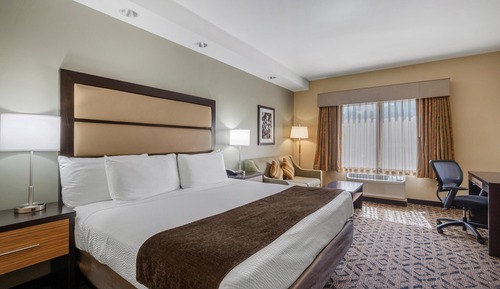 Standard Room, 1 King Bed, Non Smoking, Refrigerator & Microwave (with Sofabed)