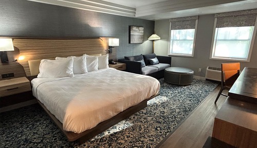 Standard Room, 1 King Bed, Non Smoking (with Sofabed)