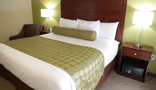 Room, 1 King Bed, Accessible Benched Tub, Non Smoking