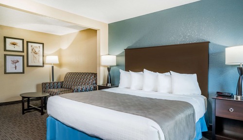 Studio Suite, 1 King Bed, Non Smoking
